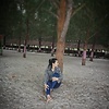 1398lams_17621