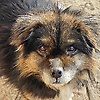 denny_92967