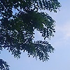 Fatirrzhem