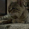 dmitriy_55224