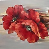 Poppy_Skugge