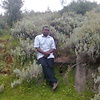 sigaukepatrick