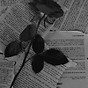sam_59665