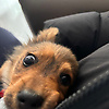 user_970126
