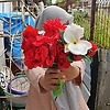 hilda_16302