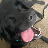 zoe_22189