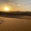adil_chaouki