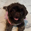 glyzie_43886
