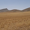 ali_59732