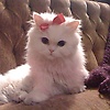 user_95629