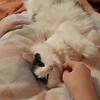 lilian_91605