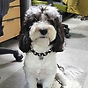 user_684666