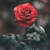 mahdi313AA