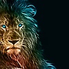 hakimloulo_38542