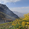 hiwa_35604