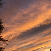 kamy_83044
