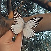 soso_78847
