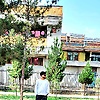 wahid_87375