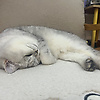 user_497501