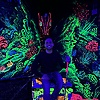 manuelsplendore