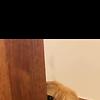 lolo_62599