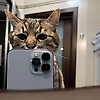 kamil_76971