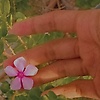 shubham_69465