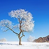 abdelhafid_79512