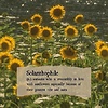 simply_sunfl0wer