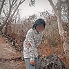 zinnia_64960