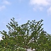 oeza_84206