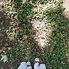 rayhona_34162