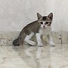 meet_59436