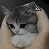 leilara_41851
