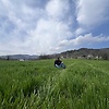 Abdullah_protick