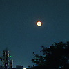nancy_98542