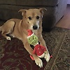 adam_85711