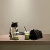 aliaa_49786