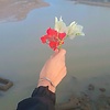 salma_65195