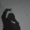 yora_45281
