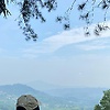 bunga_50873