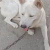 jlen_74341