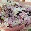 isna_62560