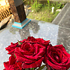 iamlibra99