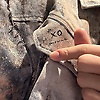 aira_27460