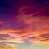 alex_43999