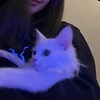 Hiba09