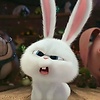 Snowballll