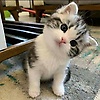 mariam_64193