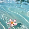 alila_60067